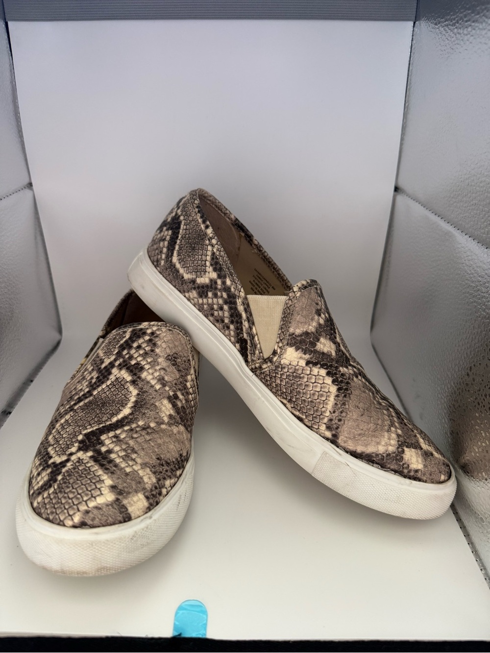 Steve Madden Taupe and Brown Snake-Print Slip-On Sneakers
